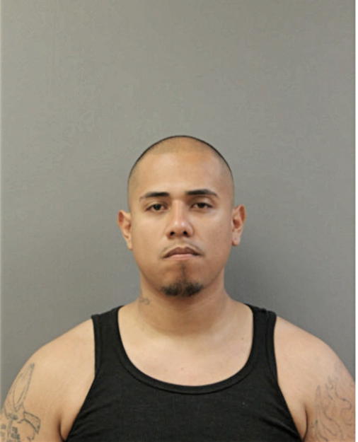 CARLOS FABIAN, Cook County, Illinois
