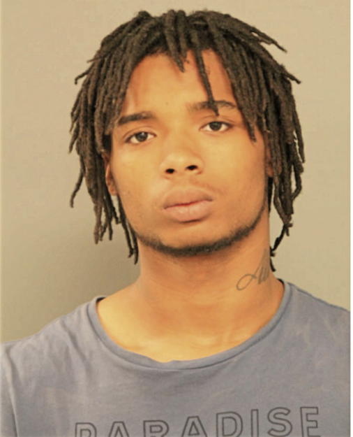 BRIAN L FORD, Cook County, Illinois