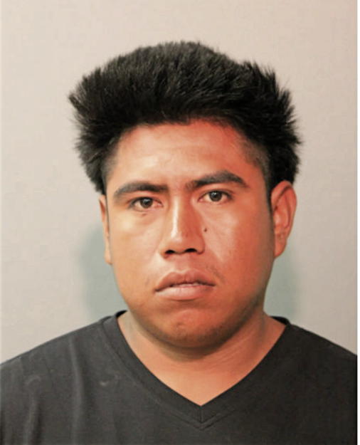 ADRAIN GALIANA, Cook County, Illinois