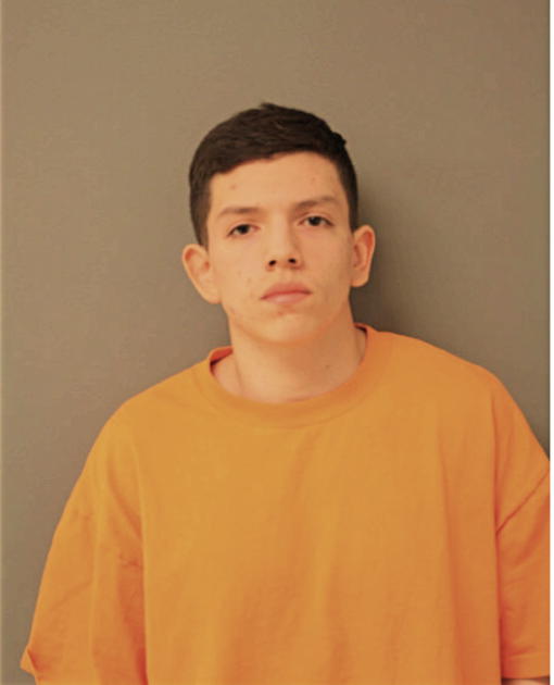 RYON GUERRERO, Cook County, Illinois