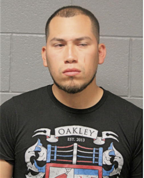 JORGE A HERNANDEZ, Cook County, Illinois
