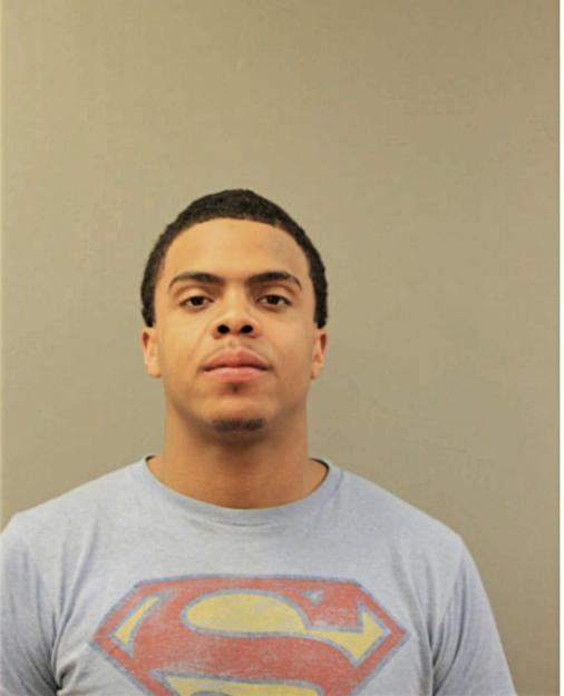 DENNIS M JOHNSON, Cook County, Illinois