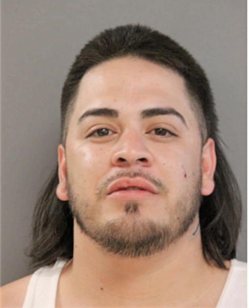 LUIS G LECHUGA, Cook County, Illinois