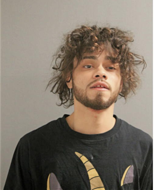 LUIS A MONTANEZ, Cook County, Illinois
