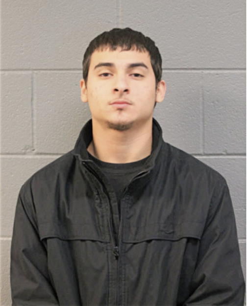 DAVID NAVARRETE, Cook County, Illinois