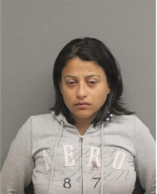 NANCY F NAVARRO, Cook County, Illinois