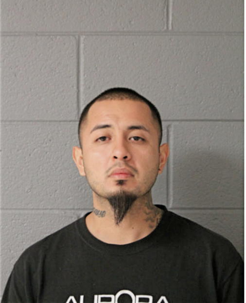 CESAR ORTEGA-GARCIA, Cook County, Illinois