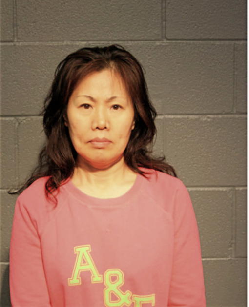 HUI ZHI PENG, Cook County, Illinois