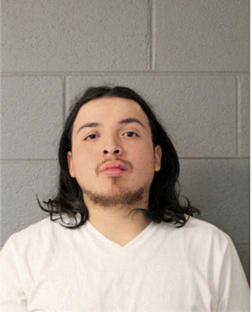 MARTELL R RAMIREZ, Cook County, Illinois