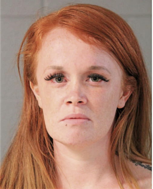 TIFFANY L SCHMID, Cook County, Illinois