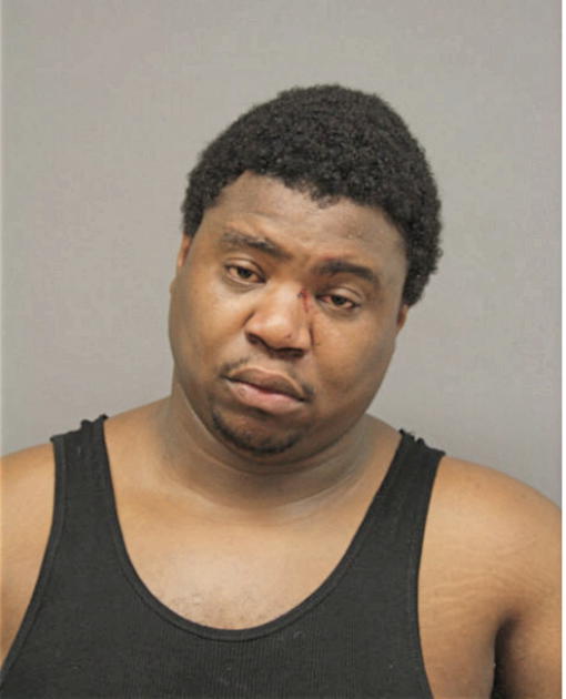 PAUL A SHANNON, Cook County, Illinois