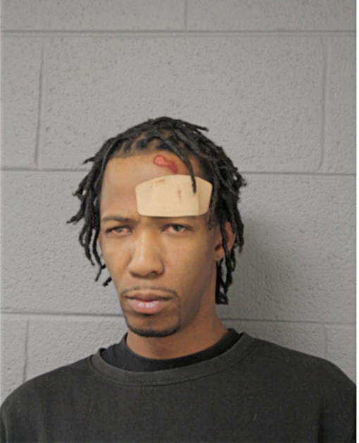 FREDDIE R STINSON, Cook County, Illinois