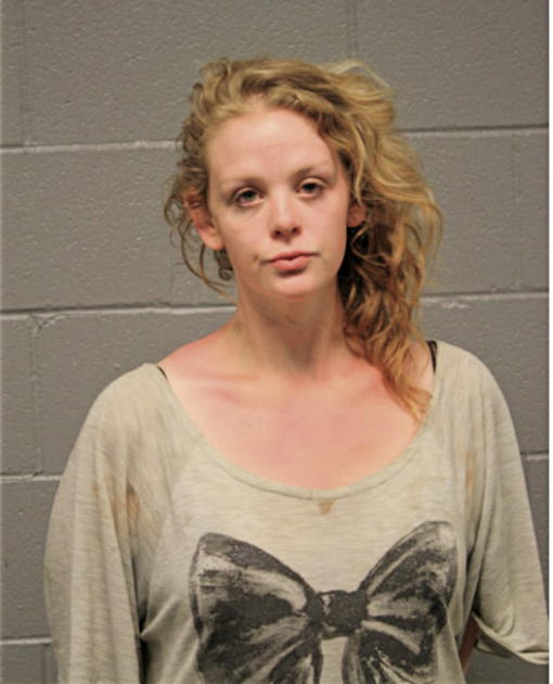 MICHELLE M VOLANT, Cook County, Illinois
