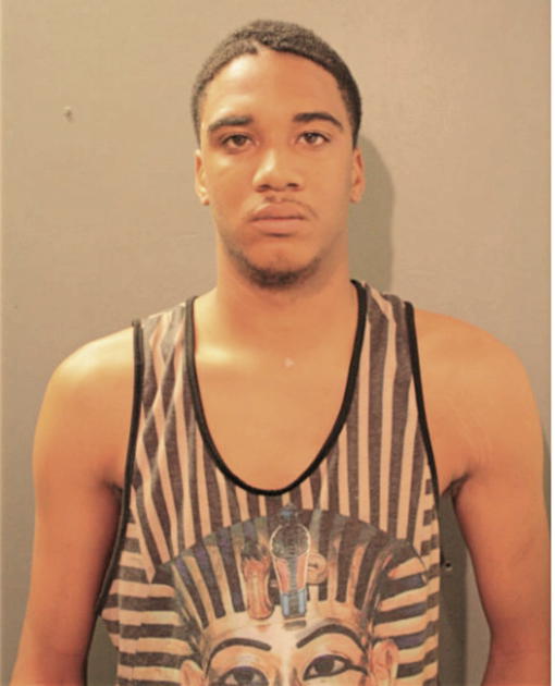 REGINALD D WATKINS, Cook County, Illinois