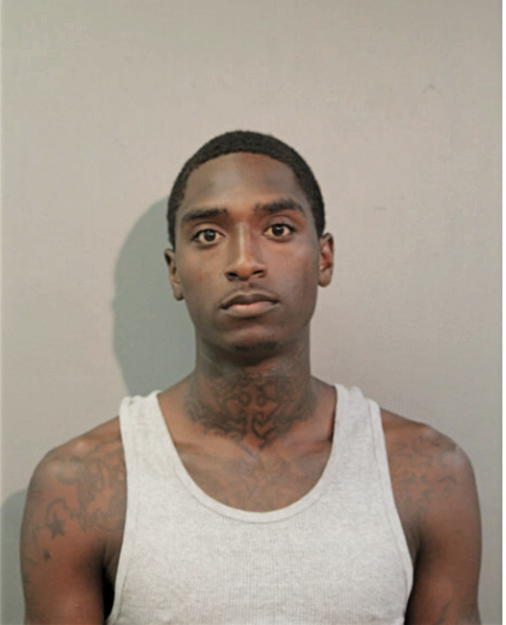 DIWAN T WILSON, Cook County, Illinois