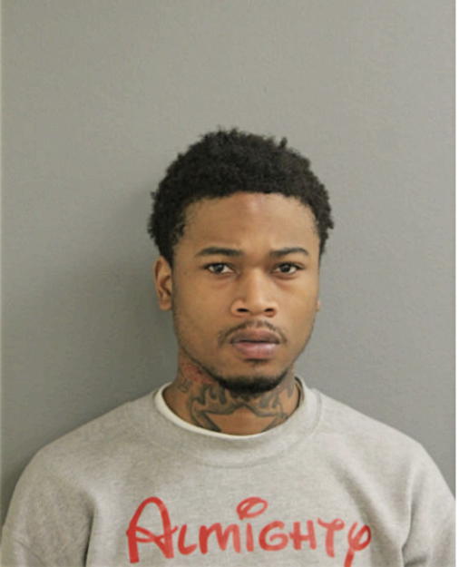 CRAIG L ALSTON, Cook County, Illinois
