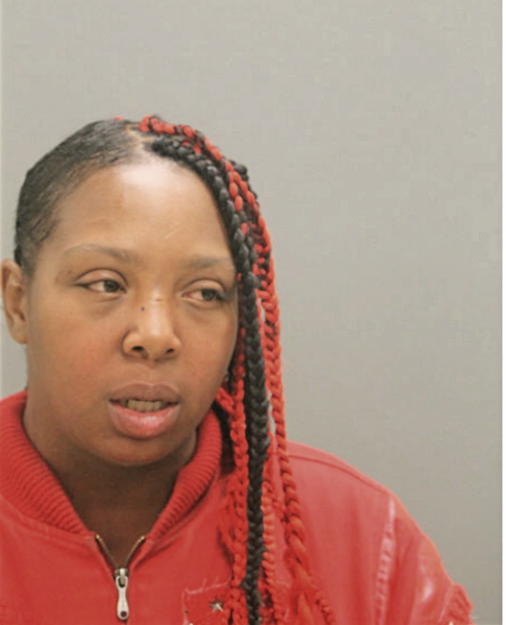 TIFFANY L BLAKELEY, Cook County, Illinois