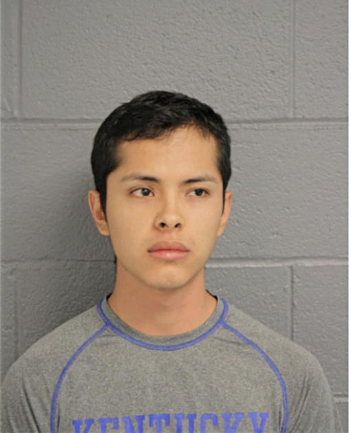 RICARDO CALDERON, Cook County, Illinois