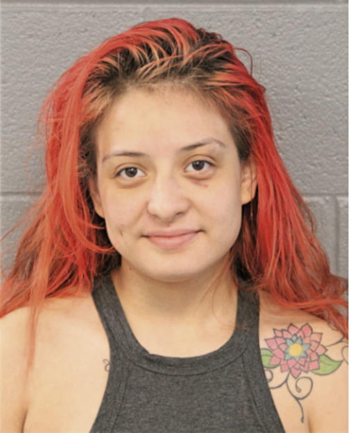 VIVIANA CORRAL, Cook County, Illinois
