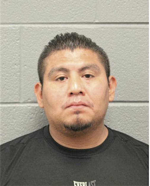 JOSE G ESCALANTE, Cook County, Illinois