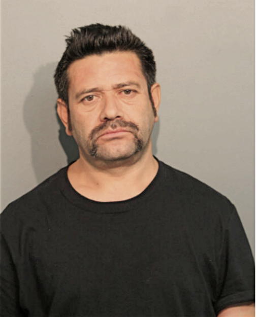ARMANDO M HURTADO, Cook County, Illinois