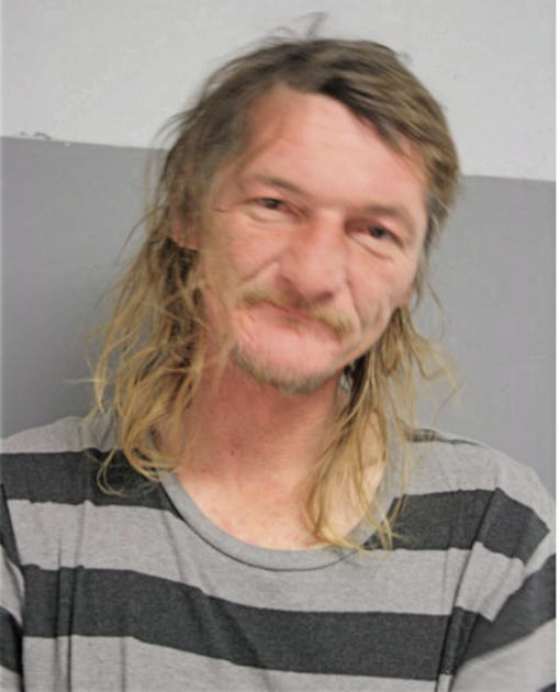 BESIREVIC HUSNIJA, Cook County, Illinois