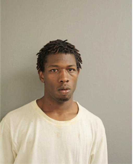 JAVAN A JOHNSON, Cook County, Illinois
