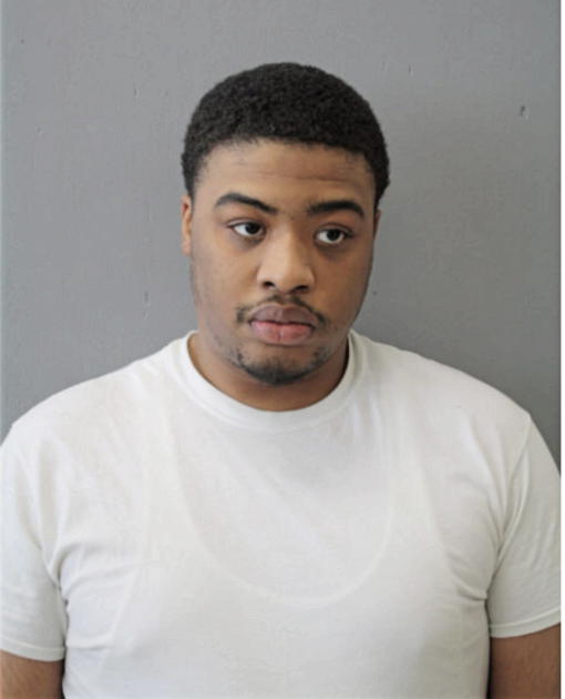 LARRY L JOHNSON, Cook County, Illinois