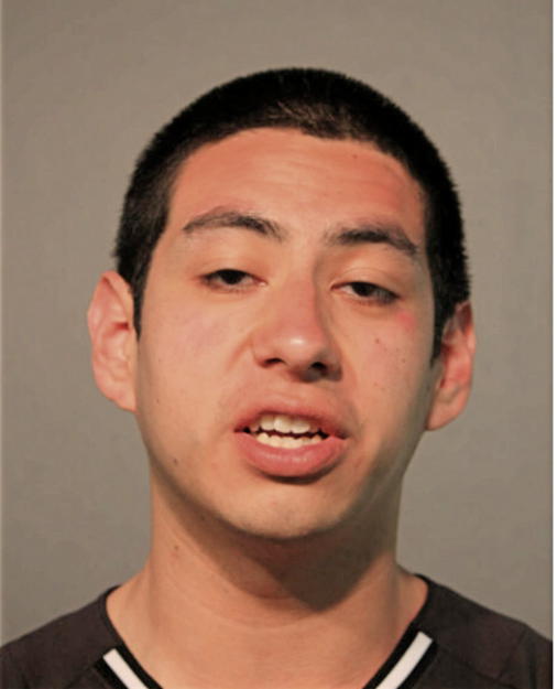 OSCAR MEDINA, Cook County, Illinois