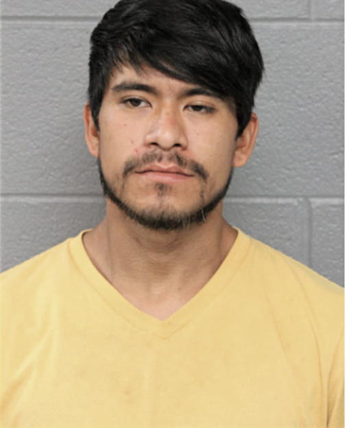MISAEL M MELCHOR, Cook County, Illinois