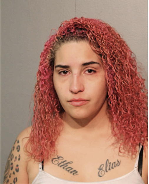YANESSA NEGRON, Cook County, Illinois