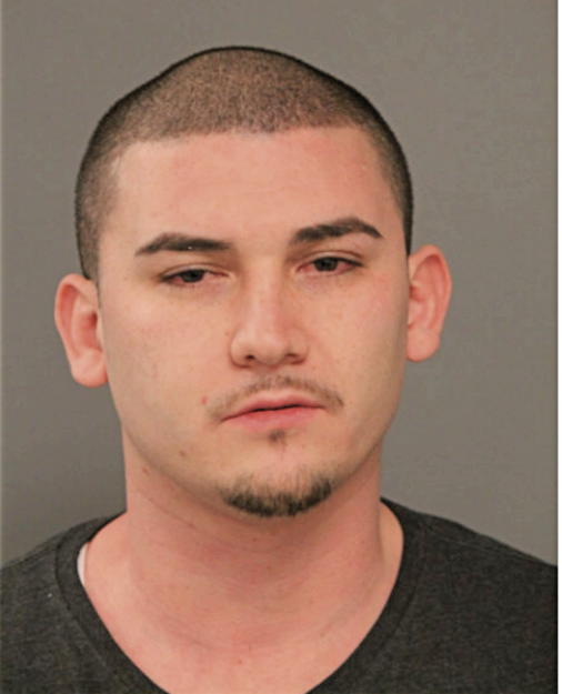 JOSE C ORTEGA, Cook County, Illinois