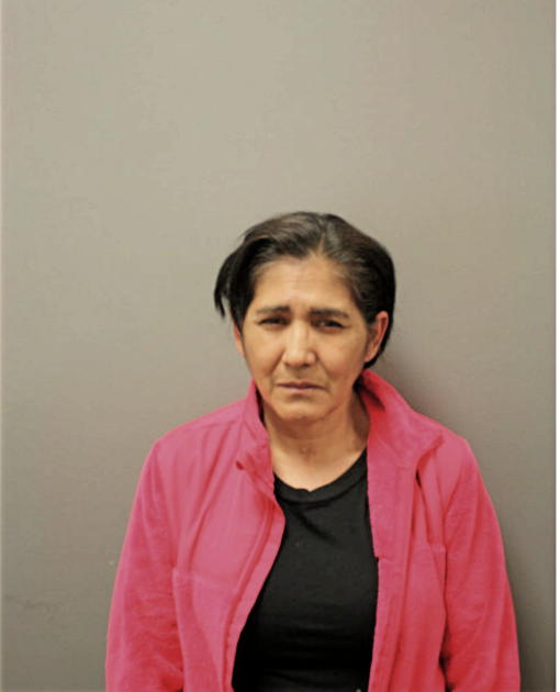 ALICE SALAZAR, Cook County, Illinois