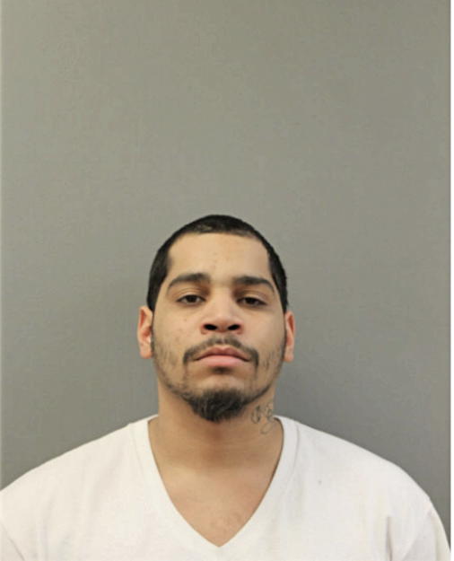 ISRAEL SANCHEZ, Cook County, Illinois