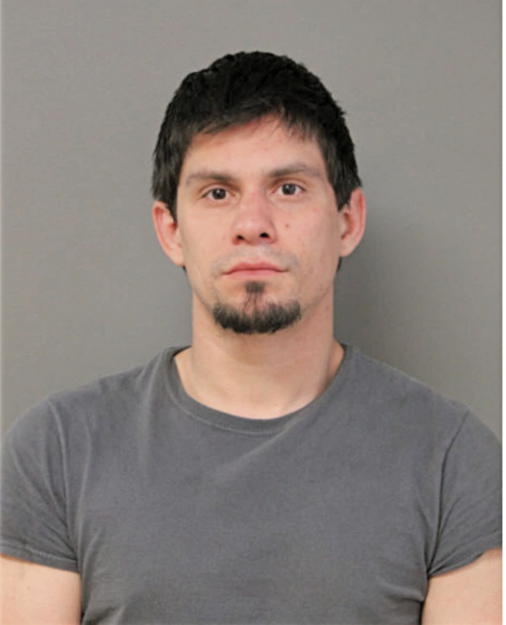 MICHAEL A SCHALLMOSER, Cook County, Illinois