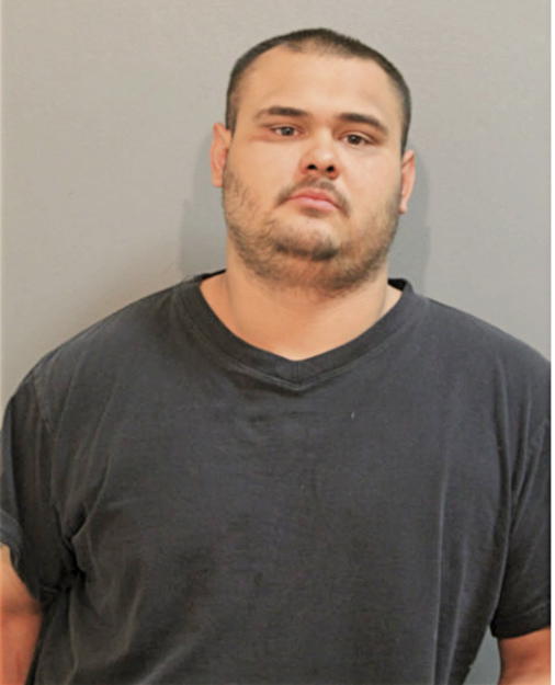 PABLO SOSA, Cook County, Illinois