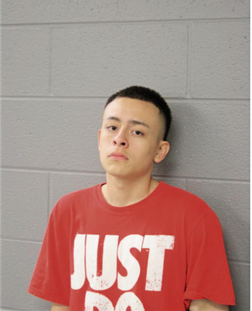 ADAM TREJO, Cook County, Illinois