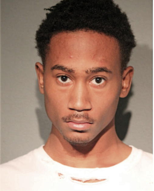 EVAN B WILLIAMS, Cook County, Illinois
