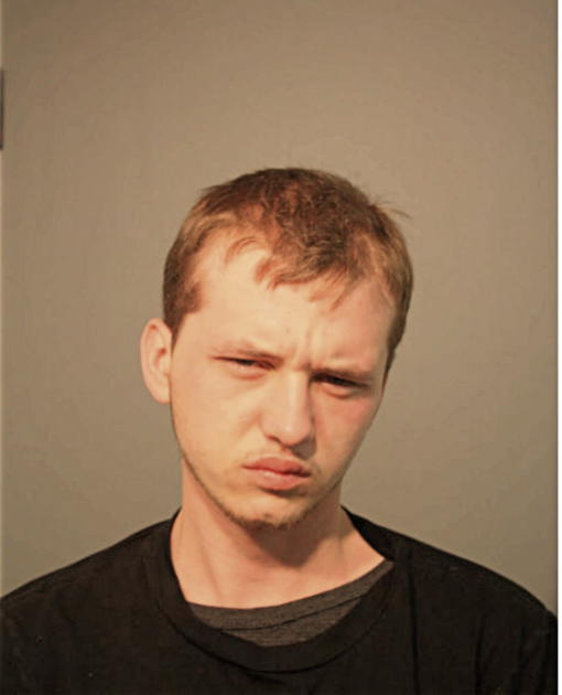RICKEY D ALLEN, Cook County, Illinois