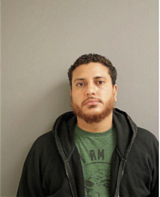 HARRY J BRENSTON, Cook County, Illinois