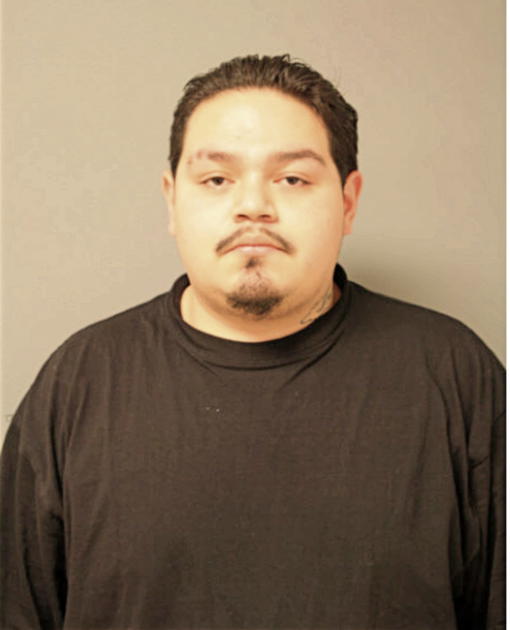 ERIK A CRUZ, Cook County, Illinois