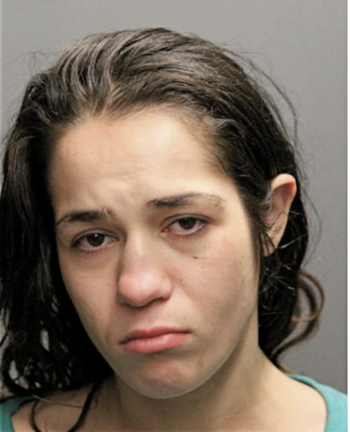 SINEM L ERGUL, Cook County, Illinois