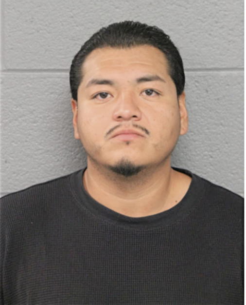 LUIS FLORES, Cook County, Illinois