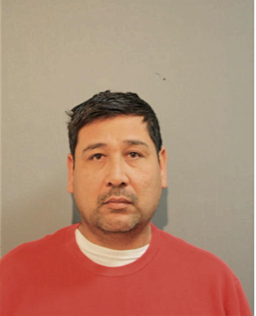 HECTOR J GALLEGOS, Cook County, Illinois