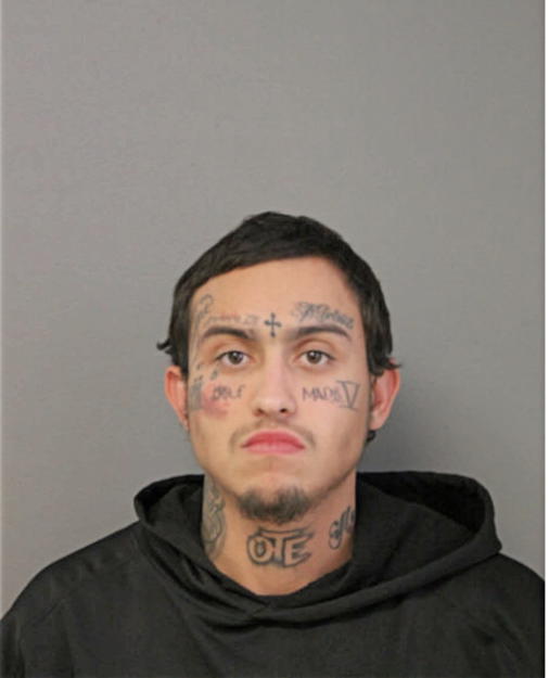 ARMANDO GONZALEZ, Cook County, Illinois