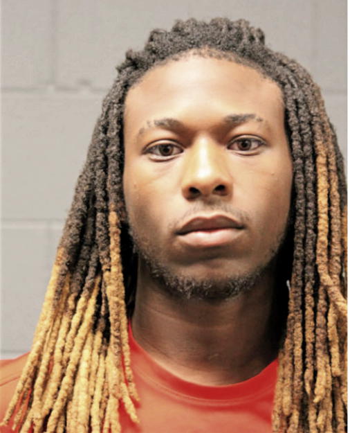 TERRANCE A GRIGGS, Cook County, Illinois