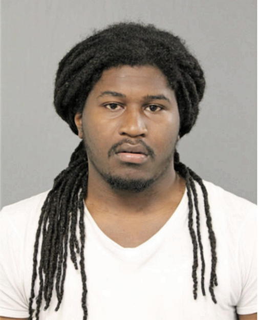 CHRISTOPHER D HENDERSON, Cook County, Illinois