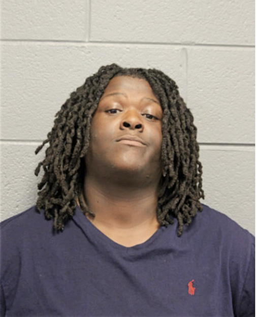MICHAEL A JOHNSON, Cook County, Illinois