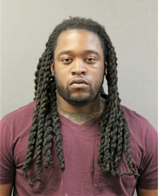 DAVID L JONES, Cook County, Illinois
