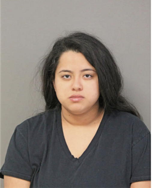 AMALIA P LOPEZ, Cook County, Illinois